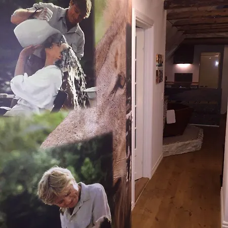 Boutique Hotel Postgarden Hotel 4*